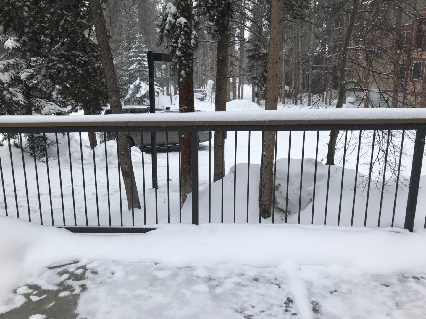 A fence in the snow near some trees